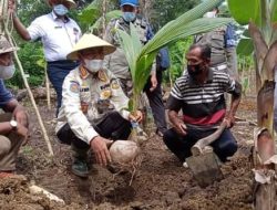 Palanisasi, Bangkitkan Sektor Pertanian Buton