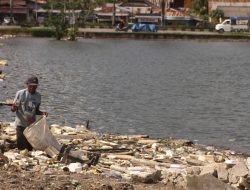 Sampah Teluk Kendari Capai 2 Ton Perhari