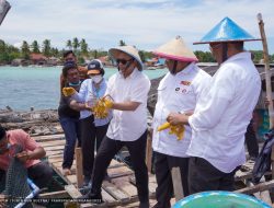 Menteri Teten Kagum Potensi Buteng