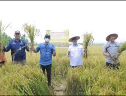 Pacu Ketahanan Pangan, Garap Lahan Tidur