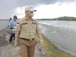 Konsel Hebat Ditangan Surunuddin Dangga