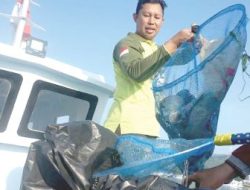 Asmawa Tosepu Pimpin Aksi Bersih Teluk Kendari