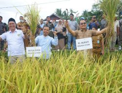 Parinringi Menjamin Ketersediaan Pupuk Bersubsidi dan Bantuan Alsintan