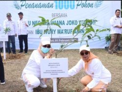 Pemprov Sultra Tanam Pohon Bersama Iriana Jokowi