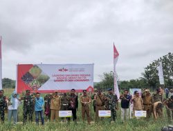 H. Surunuddin Dorong Pengembangan Bawang Merah di Jati Bali