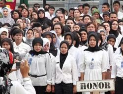 Hindari PHK Massal Honorer, Ini Arahan Presiden Jokowi