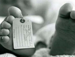 Drama Kelam : Tragedi Pembunuhan Bayi Kembar dan Orang Tua Kandung sebagai Tersangka