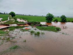 Sawah Terendam Banjir, Pemkab Kolaka Tunggu Usulan Bantuan