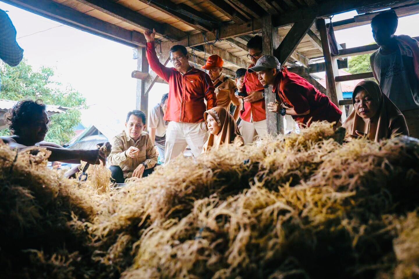 LABORATORIUM PENGEMBANGAN : Bupati Wakatobi, H. Haliana (kedua kiri) bersama rombongan dari KKP saat berdiskusi dengan beberapa petani rumput laut di Pulau Kaledupa. (ASTY NOVALISTA/KENDARI POS)