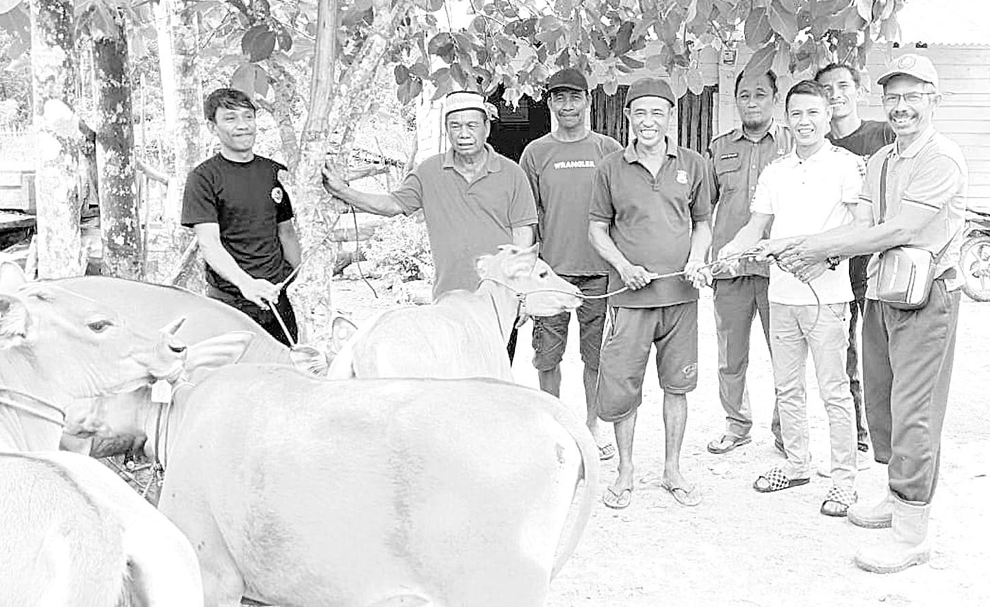 REALISASIKAN USULAN : Anggota DPRD Konsel, Ramlan (kedua dari kanan) ketika menyerahkan bantuan bibit ternak sapi kepada kelompok peternak di Kecamatan Angata.(I NGURAH PANDI SANTOSA/KENDARI POS)