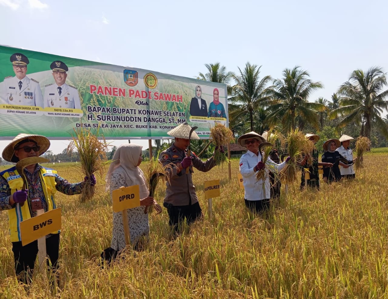 Bupati Konsel Surunuddin Dangga (4 dari kiri) bersama Forkopimda Konsel panen raya padi sawah di Desa Silea Jaya, Kecamatan Buke, Rabu (25/10/2023), kemarin.(I NGURAH PANDI SANTOSA / KENDARI POS)