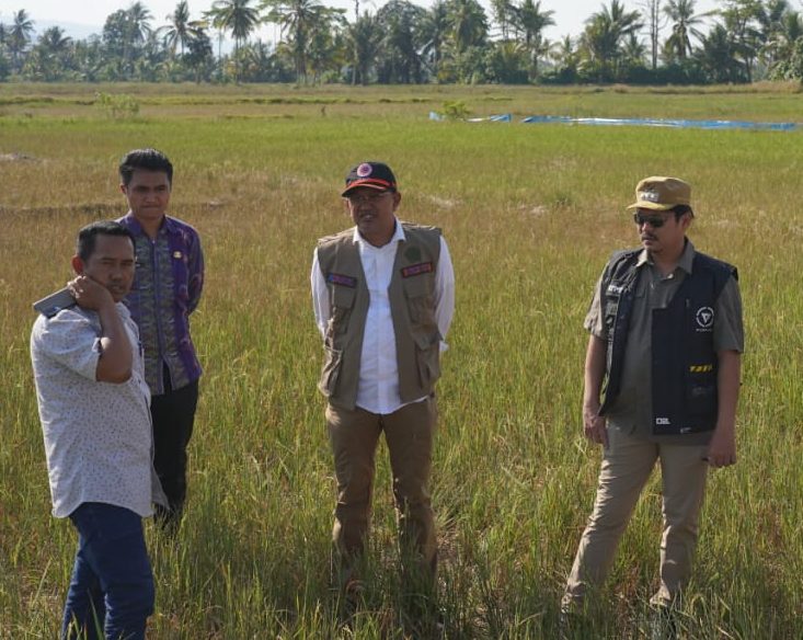 Kepala BPBD Sultra, Muhammad Yusup (2 dari kiri) dan Plt Bupati Koltim Abdul Azis (tengah) meninjau kondisi bencana hidrometeorologi di Desa Bou, Kecamatan Lambandia, Kamis (19/10/2023), kemarin. (IST)