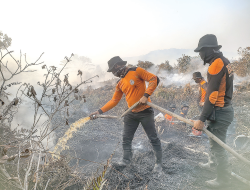 30 Hektare Lahan Gambut Terbakar
