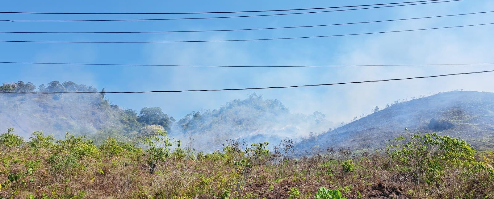 WASPADA : Kebakaran lahan pada Bukit Teletubies di jalan Poros Gonda-Lapodi, Kecamatan Pasarwajo yang terjadi kemarin. Pihak BPBD Buton menurunkan personelnya untuk memadamkan sekaligus mencegah meluasnya kobaran api. (ELYN IPO/KENDARI POS)