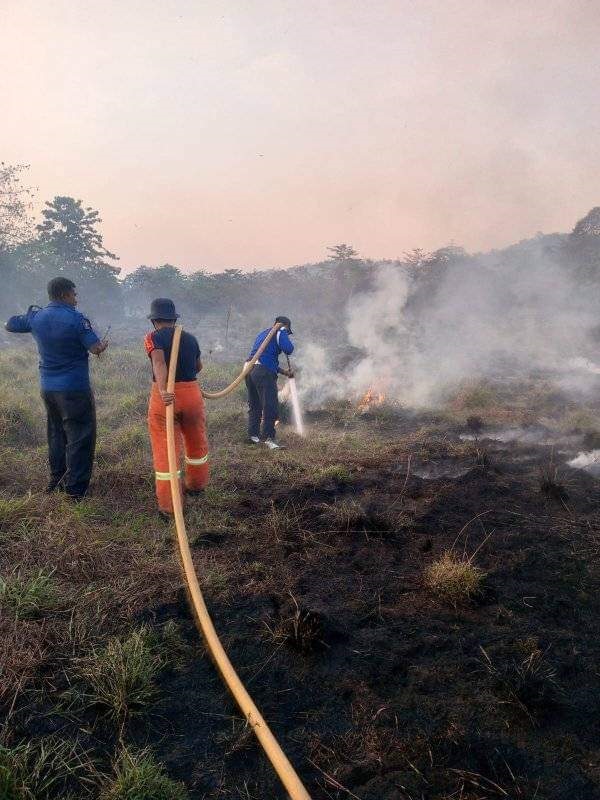 SIAGA : Personel Damkar Konawe saat memadamkan kebakaran lahan di Kecamatan Pondidaha, beberapa hari lalu. (DOK. ADI HIDAYAT/KENDARI POS)