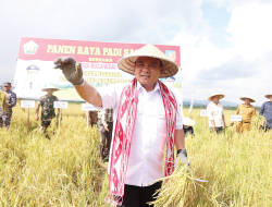 Pj Gubernur Jaga Produktifitas Beras