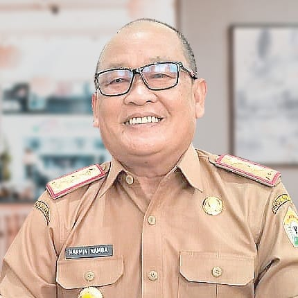 Kepala Kesbangpol Sultra, Harmin Ramba