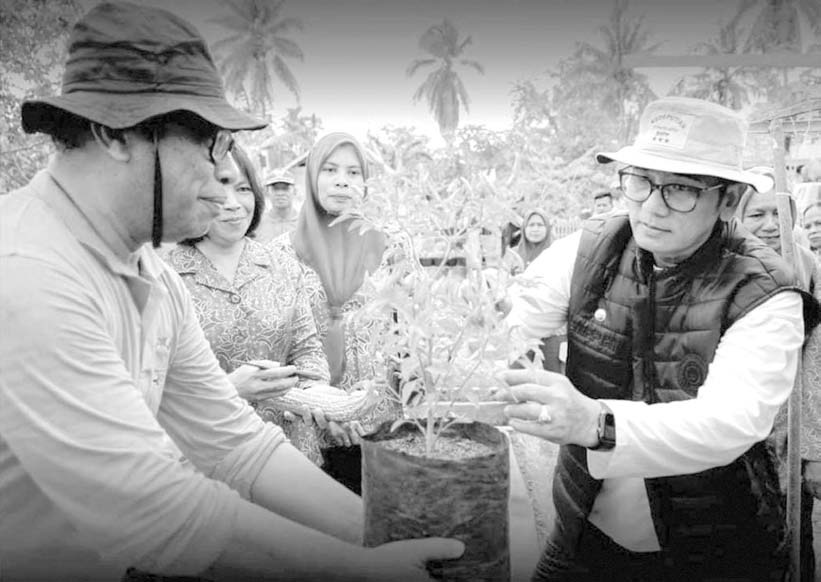 PLAKAT: Pj Bupati Buteng Andi Muhammad Yusuf (kanan) mengecek tanaman cabai yang dikembangkan melalui program Plakat.