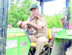 Buton Mulai Budidaya Kelapa Sawit