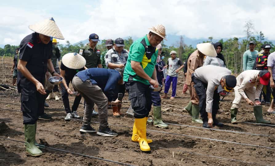 Bupati Konut Dr.Ruksamin (tengah) didampingi bersama unsur Forkopimda Konut dan masyarakat menanam jagung di Desa Wawoheo, Kecamatan Wiwirano, Selasa (6/2/2024). (HELMIN TOSUKI / KENDARI POS)