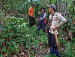 Pencarian Orang Hilang di Hutan Moramo Ditutup