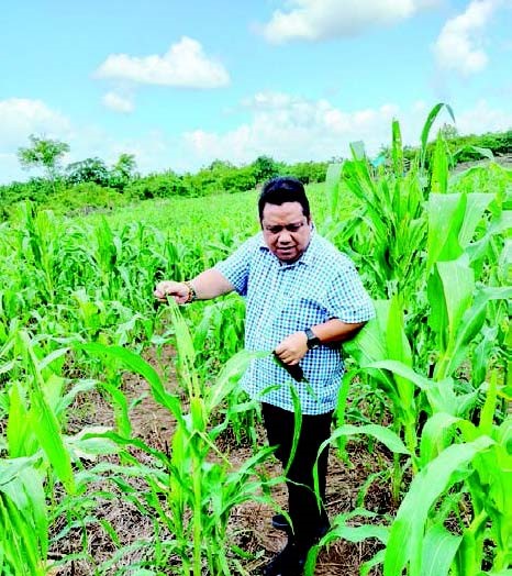 BLUSUKAN : Kepala Distannak Sultra, La Ode Muhammad Rusdin Jaya turun meninjau kondisi lahan pertanian. Akibat musibah banjir, puluhan hektar lahan persawahan di Konawe terendam. (DISTANNAK SULTRA FOR KENDARI POS)