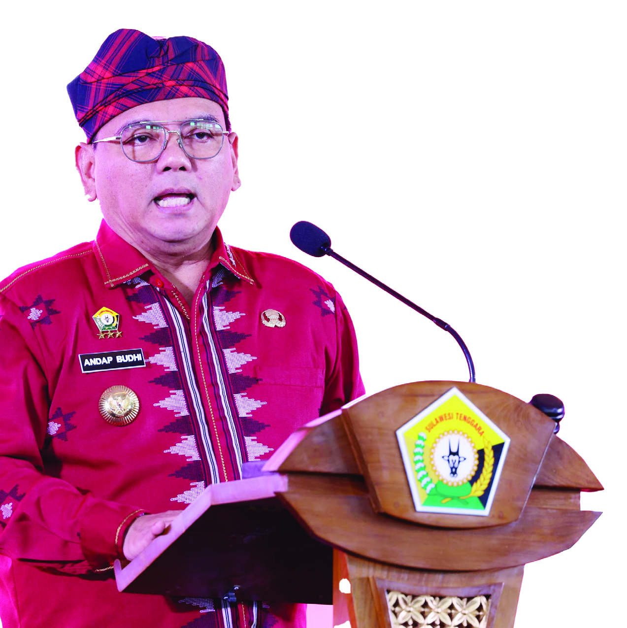 Penjabat Gubernur Sultra Andap Budhi Revianto