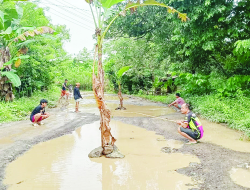 Warga Konsel Marah, Blokir Jalan Provinsi