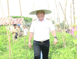 Kemendagri Apresiasi Kinerja Harmin Ramba