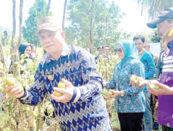 La Haruna Janjikan Kendaraan OperasiBuat Penyuluh Pertanian