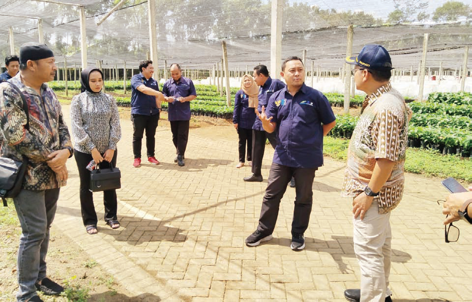 PENGEMBANGAN KAKAO : Pj Bupati Kolut Sukanto Toding (kanan) meninjau proses pembibitan di Puslitkoka Jember akhir pekan lalu(DISKOMINFO KOLUT FOR KENDARI POS)