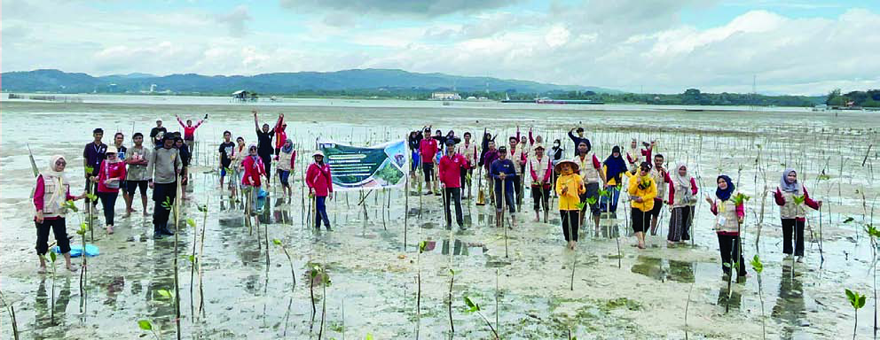 Tim PKM Terintegrasi KKN Tematik UHO bersama warga saat melakukan penanaman mangrove di Kelurahan Purirano, Kota Kendari. (TIM PKM TERINTEGRASI KKN TEMATIK UHO)