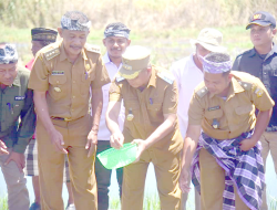 Pj. Bupati La Haruna Lepaskan Bibit Gurame