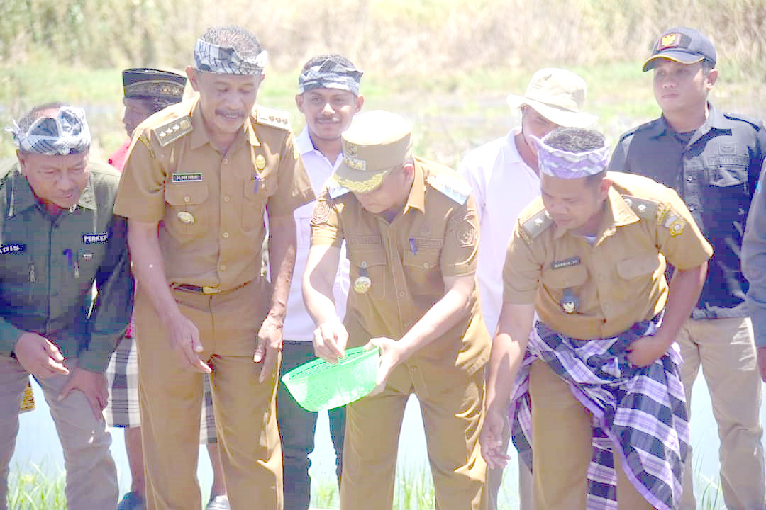 Pj Bupati Buton La Haruna melepas bibit gurame di Desa Mabulugo. (IST)