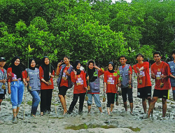 PKM-KKNT UHO Kemampuan Mahasiswa Kelola Ekosistem Mangrove