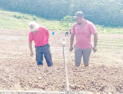 Manfaatkan Lahan, Perkuat Kemandirian Pangan Daerah