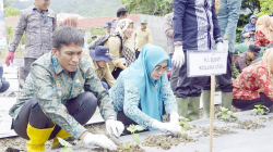 TEKAN TENGKES : Kegiatan peluncuran program pemberian makanan bergizi gratis kepada anak sekolah dan penanaman di lahan tak produktif hingga pelepasan benih ikan yang dilakukan Pj Bupati Kolut, Yusmin, kemarin. (DISKOMINFO KABUPATEN KOLAKA UTARA FOR KENDARI POS)