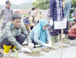 Tangani Tengkes Melalui Makanan Bergizi dan Manfaatkan Lahan