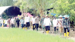 Monitoring program perluasan areal tanam dan pompanisasi di Koltim yang dilakukan Staf Khusus Kementerian Pertanian, Muhammad Arsyad bersama Sekprov Sultra, H. Asrun Lio, didampingi Pjs. Bupati, Ari Sismanto. (DISKOMINFO KABUPATEN KOLAKA TIMUR FOR KENDARI POS)