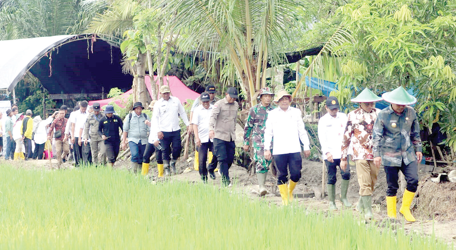 Monitoring program perluasan areal tanam dan pompanisasi di Koltim yang dilakukan Staf Khusus Kementerian Pertanian, Muhammad Arsyad bersama Sekprov Sultra, H. Asrun Lio, didampingi Pjs. Bupati, Ari Sismanto. (DISKOMINFO KABUPATEN KOLAKA TIMUR FOR KENDARI POS)