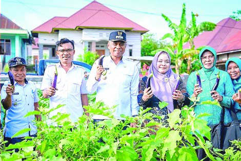 Penjabat (Pj) Bupati Buton Tengah, Kostantinus Bukide (3 dari kiri) didampingi Pembina TP PKK Buton Tengah, Winda Lestari (3 dari kanan), Kepala Dinas Pangan Buton Tengah, Malik (2 dari kiri) dan pengurus TP PKK panen perdana sayuran di kebun percontohan program Plakat (ERLIN IPO / KENDARI POS)