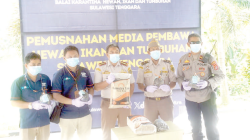 Karantina Sultra melakukan pemusnahan media pembawa hewan, ikan, tumbuhan, dan produk turunannya. Hal ini dilakukan sebagai bentuk komitmen menjaga pangan sehat dan aman untuk dikonsumsi masyarakat.