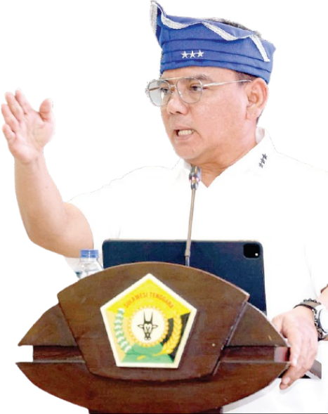 Pj Gubernur Sultra. (Andap Budhi Revianto)