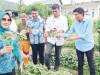 Nurhayati Yusmin Dukung Program Nasional